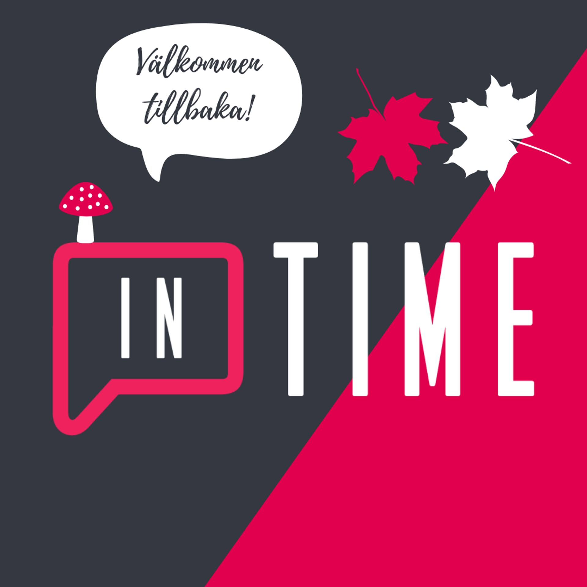 Missa inga nyheter hos InTime